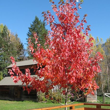 Birch Meadows Lodge B&B 弗尼 外观 照片